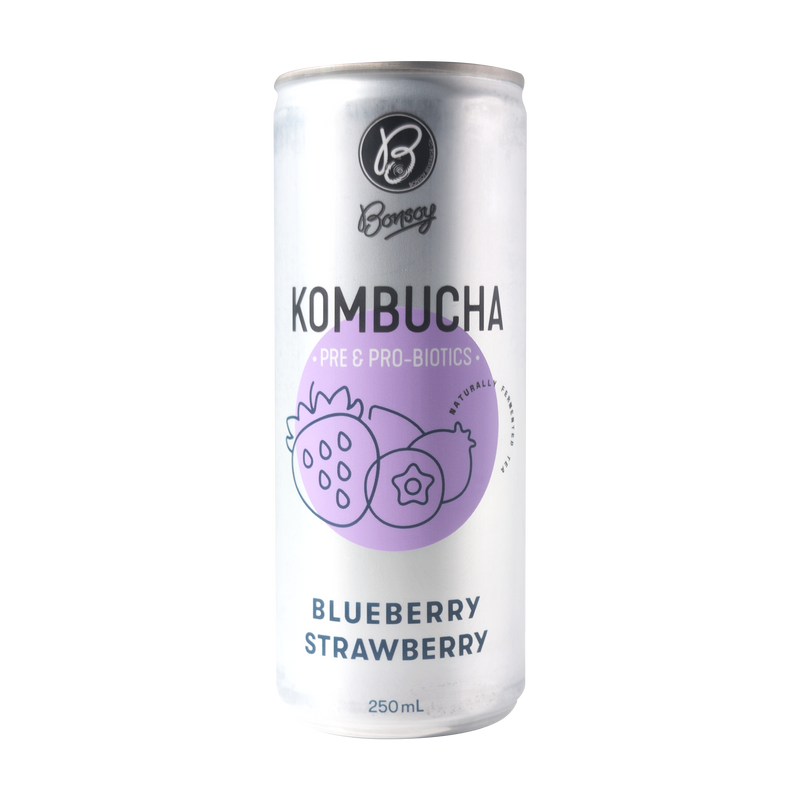 BONSOY Blueberry Strawberry Kombucha 250ml