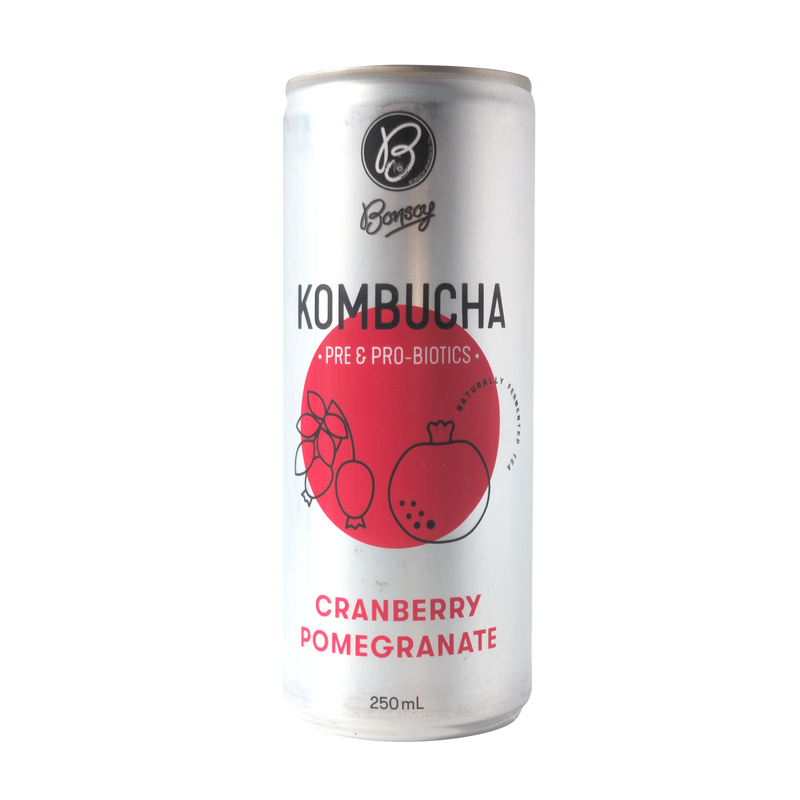 BONSOY Cranberry Pomegranate Kombucha 250ml