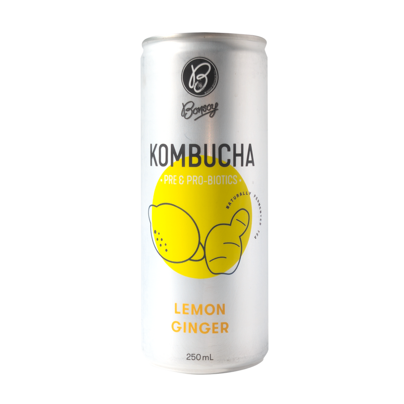 BONSOY Lemon and Ginger Kombucha 250ml