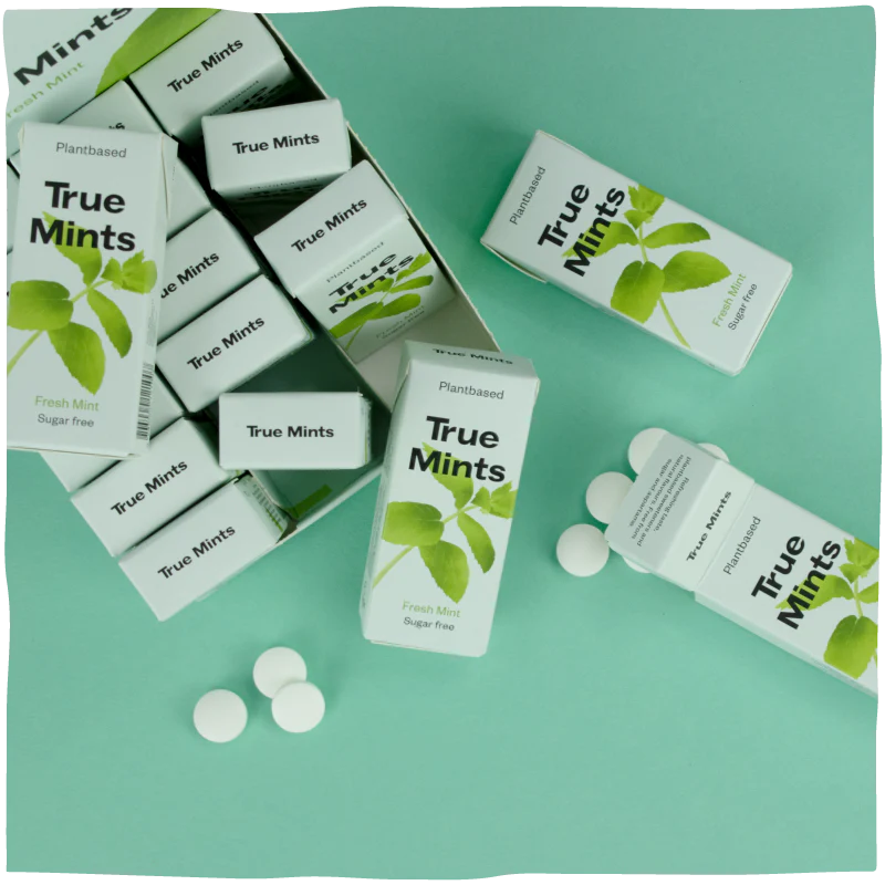 TRUE - Mints Fresh Mint 13g