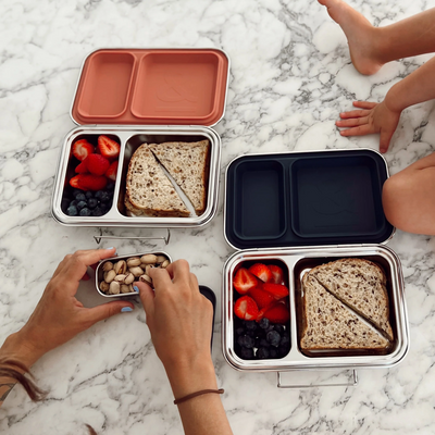 Seed & Sprout Co- Bento Lunch Box | Indigo