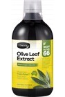 COMVITA Olive Leaf Extract Natural 500ml
