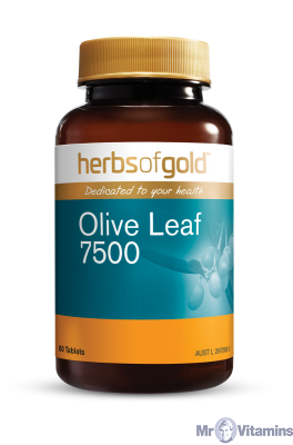Herbs of Gold- Olive Leaf 7500 60T