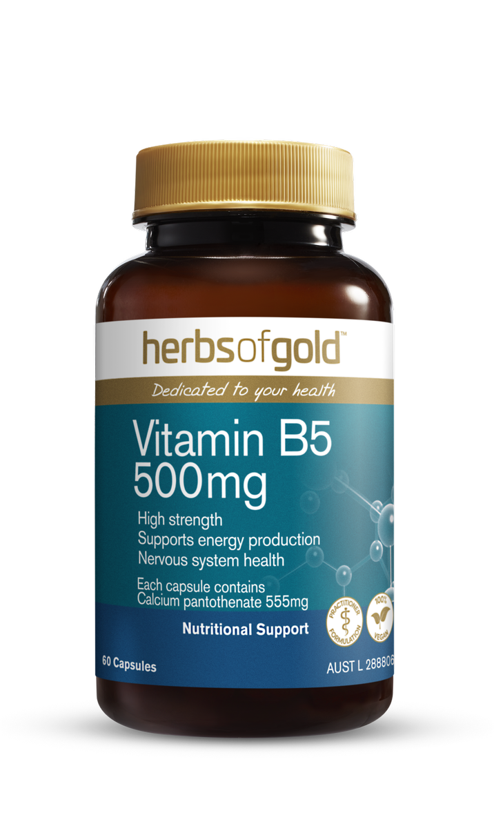 Herbs of Gold- Vitamin B5 500MG 60C